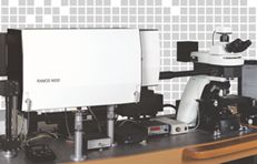 高精度3D扫描显微拉曼光谱仪